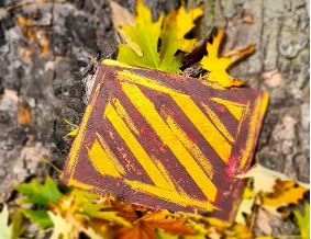 corkpad